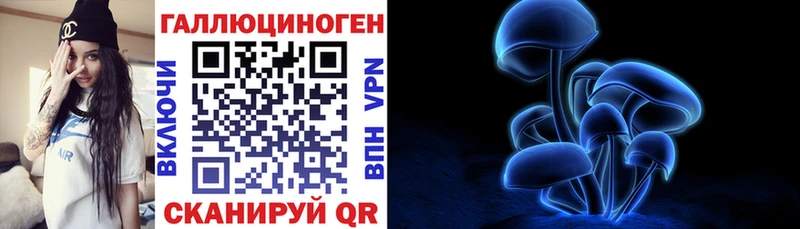 Псилоцибиновые грибы мицелий  ОМГ ОМГ маркетплейс  Омутнинск 